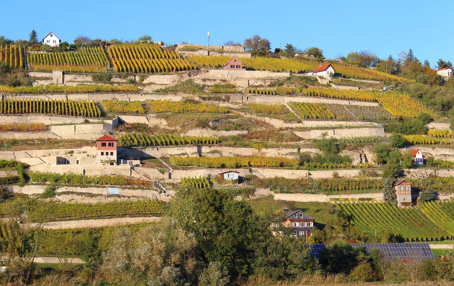 Weinbaugebiet